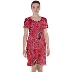 Red Peacock Floral Embroidered Long Qipao Traditional Chinese Cheongsam Mandarin Short Sleeve Nightdress