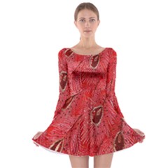 Red Peacock Floral Embroidered Long Qipao Traditional Chinese Cheongsam Mandarin Long Sleeve Skater Dress