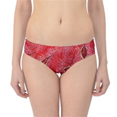 Red Peacock Floral Embroidered Long Qipao Traditional Chinese Cheongsam Mandarin Hipster Bikini Bottoms