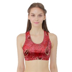 Red Peacock Floral Embroidered Long Qipao Traditional Chinese Cheongsam Mandarin Sports Bra with Border