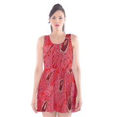 Red Peacock Floral Embroidered Long Qipao Traditional Chinese Cheongsam Mandarin Scoop Neck Skater Dress