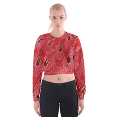 Red Peacock Floral Embroidered Long Qipao Traditional Chinese Cheongsam Mandarin Cropped Sweatshirt