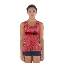 Red Peacock Floral Embroidered Long Qipao Traditional Chinese Cheongsam Mandarin Women s Sport Tank Top 