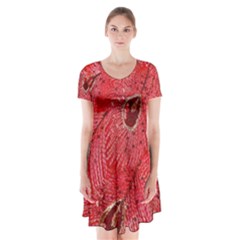 Red Peacock Floral Embroidered Long Qipao Traditional Chinese Cheongsam Mandarin Short Sleeve V-neck Flare Dress