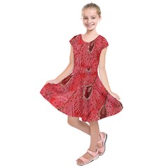 Red Peacock Floral Embroidered Long Qipao Traditional Chinese Cheongsam Mandarin Kids  Short Sleeve Dress