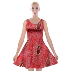 Red Peacock Floral Embroidered Long Qipao Traditional Chinese Cheongsam Mandarin Velvet Skater Dress