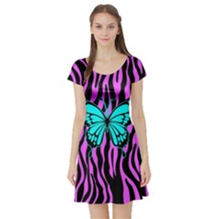 Zebra Stripes Black Pink   Butterfly Turquoise Short Sleeve Skater Dress by EDDArt