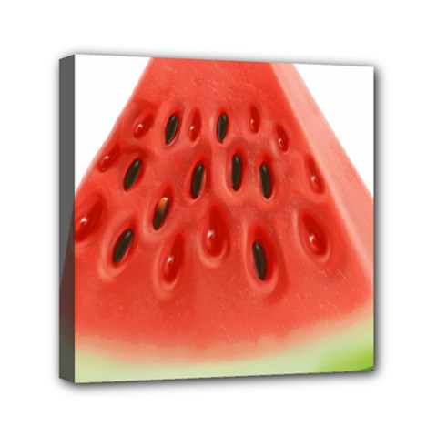 Piece Of Watermelon Mini Canvas 6  x 6 