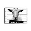 Criminal goat  Mini Canvas 6  x 4  View1
