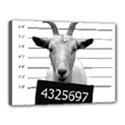 Criminal goat  Canvas 16  x 12  View1