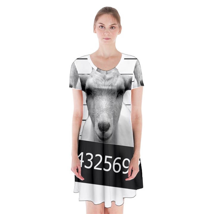 Criminal goat  Short Sleeve V-neck Flare Dress