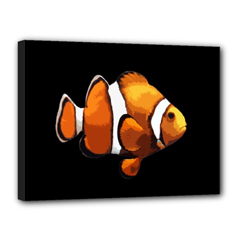 Clown Fish Canvas 16  X 12  by Valentinaart