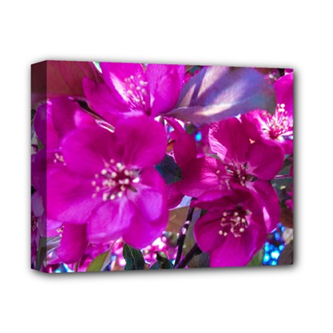 Pretty In Fuchsia Deluxe Canvas 14  X 11 