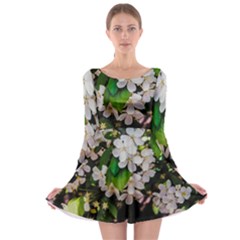 Tree Blossoms Long Sleeve Skater Dress