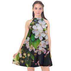 Tree Blossoms Halter Neckline Chiffon Dress  by dawnsiegler