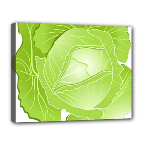 Cabbage Leaf Vegetable Green Canvas 14  X 11 