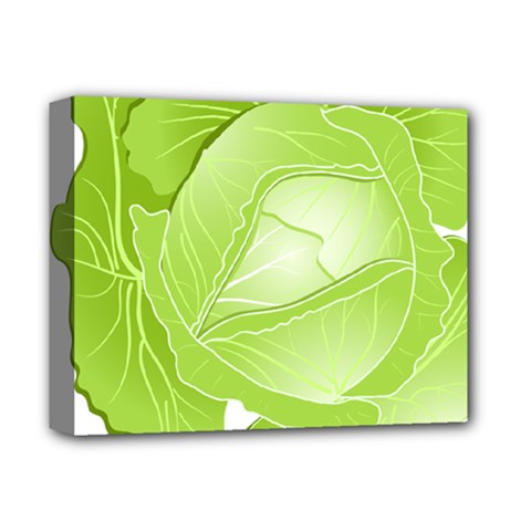 Cabbage Leaf Vegetable Green Deluxe Canvas 14  X 11 