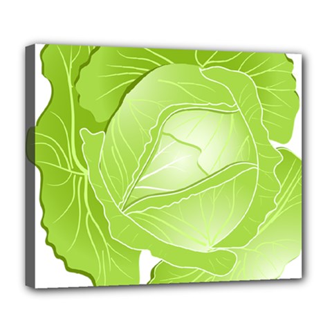 Cabbage Leaf Vegetable Green Deluxe Canvas 24  X 20   by Mariart