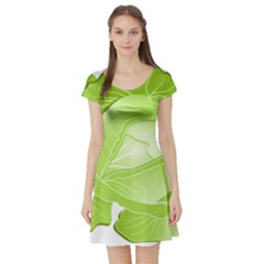 Cabbage Leaf Vegetable Green Short Sleeve Skater Dress