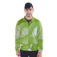 Cabbage Leaf Vegetable Green Wind Breaker (men) by Mariart