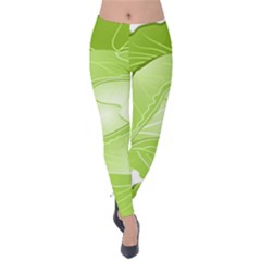 Cabbage Leaf Vegetable Green Velvet Leggings by Mariart