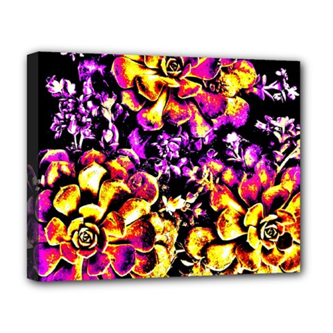 Purple Yellow Flower Plant Deluxe Canvas 20  x 16  