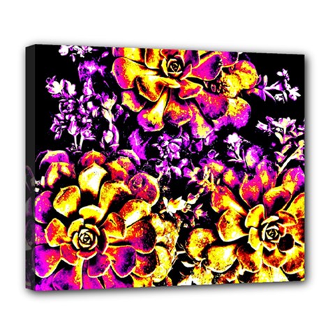 Purple Yellow Flower Plant Deluxe Canvas 24  x 20  