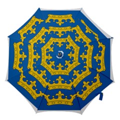 Banner Of Lordship Of Ireland (1177-1542) Hook Handle Umbrellas (large) by abbeyz71