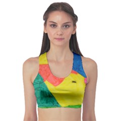 Colourful Animals Sports Bra