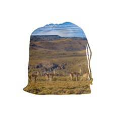 Group Of Vicunas At Patagonian Landscape, Argentina Drawstring Pouches (large)  by dflcprints