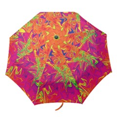Colors Folding Umbrellas