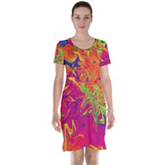 Colors Short Sleeve Nightdress