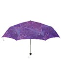 Colors Folding Umbrellas View3