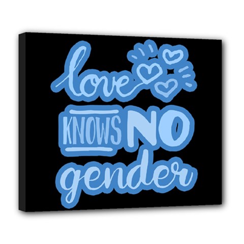 Love Knows No Gender Deluxe Canvas 24  X 20   by Valentinaart