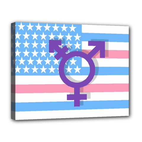 Transgender Flag Canvas 14  X 11  by Valentinaart