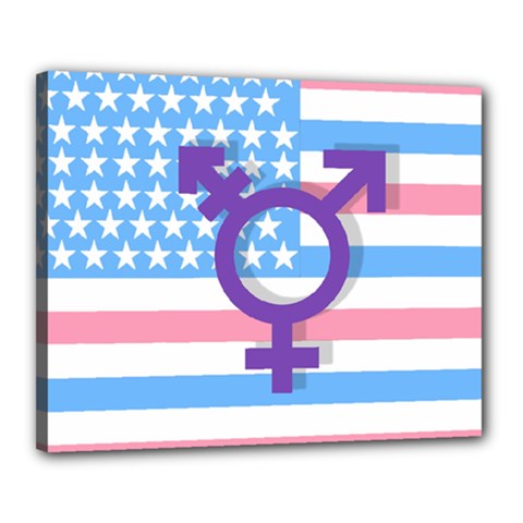 Transgender Flag Canvas 20  X 16  by Valentinaart