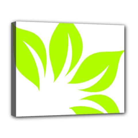 Leaf Green White Deluxe Canvas 20  X 16   by Mariart