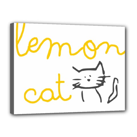 Lemon Animals Cat Orange Canvas 16  X 12 