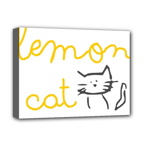 Lemon Animals Cat Orange Deluxe Canvas 16  X 12  