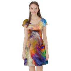 Rainbow Color Splash Short Sleeve Skater Dress