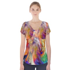 Rainbow Color Splash Short Sleeve Front Detail Top by Mariart