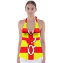 Flag of the Province of Ulster  Babydoll Tankini Top View1