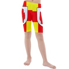 Flag Of The Province Of Ulster  Kids  Mid Length Swim Shorts by abbeyz71