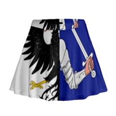 Flag Of Connacht Mini Flare Skirt by abbeyz71