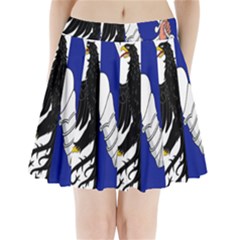 Flag Of Connacht Pleated Mini Skirt by abbeyz71