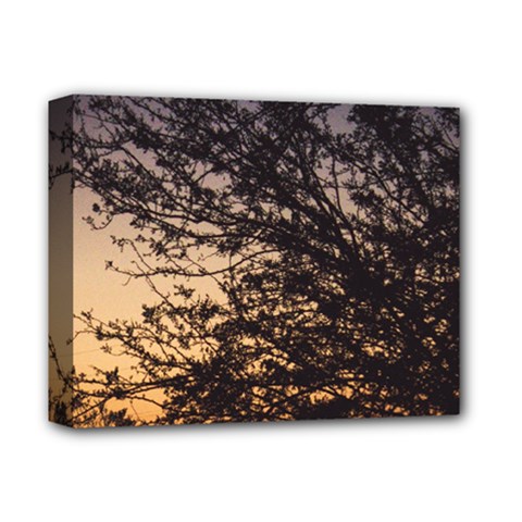 Arizona Sunset Deluxe Canvas 14  x 11 