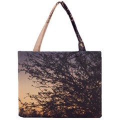 Arizona Sunset Mini Tote Bag