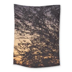 Arizona Sunset Medium Tapestry