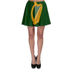 Flag Of Leinster Skater Skirt by abbeyz71