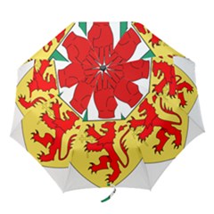 County Antrim Coat Of Arms Folding Umbrellas by abbeyz71